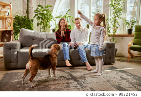 Little girl, child teaching dog commands with her parents. Family spending time together at home in living room 99221452