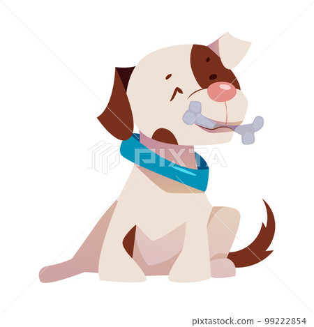 Cute Puppy with Brown Spot and Blue Collar Sitting with Bone Vector Illustration Cute Puppy with Brown Spot and Blue Collar Sitting with Bone Vector Illustration 99222854