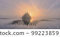 Peace and quiet on lake in summer day in blurry fog: morning, rising sun, foggy. 99223859