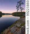 Granite stones, pine trees and forest are reflected in clear serene waters of Finnish lake. 99223860
