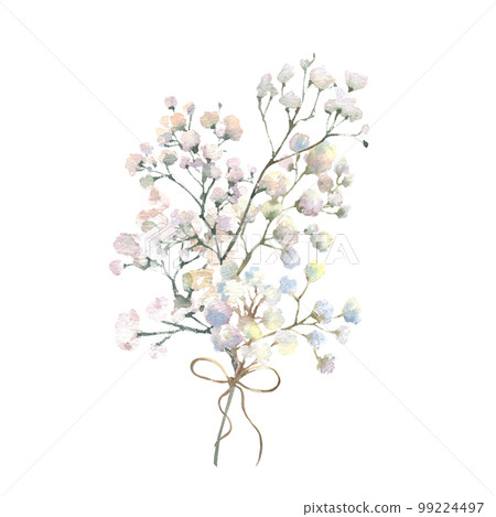 A gypsophila branch hand drawn in watercolor isolated on a white background. Vintage little white flowers bouquet with bow for Valentine's Day, wedding and other events. 99224497
