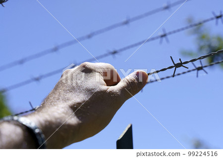 Hand on a metal fence. Border, prison, illegal migration concept. Selected focus 99224516