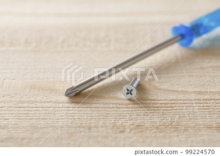 Screw and screwdriver 99224570