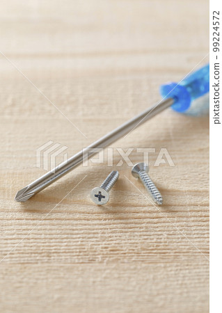 Screw and screwdriver 99224572
