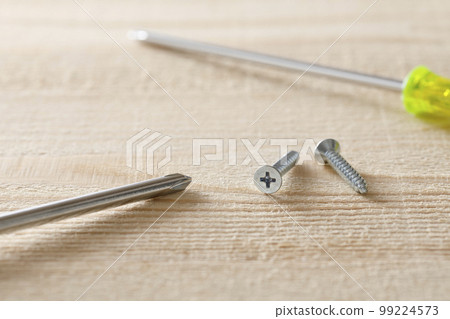 Screw and screwdriver 99224573