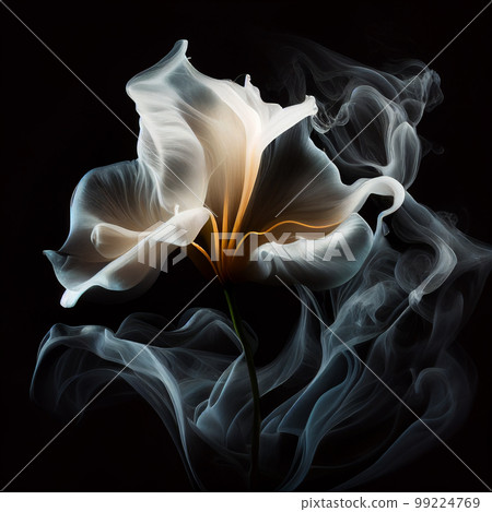 Contours of beautiful white lily flower in smoke on black background, fantastic magic background, unusual beautiful wallpaper Contours of beautiful white lily flower in smoke on black background, fantastic magic background, unusual beautiful wallpaper 99224769