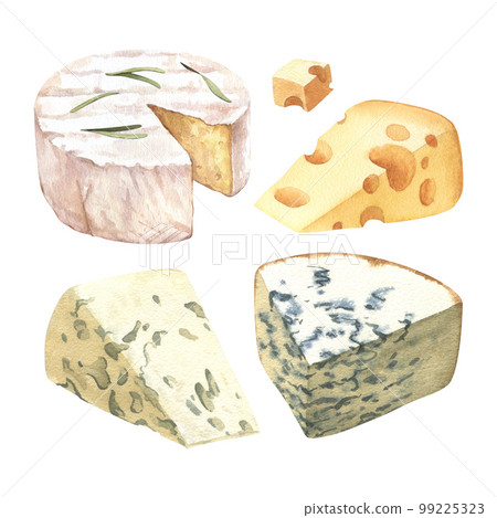Watercolor different soft kinds cheeses, milk dairy product. Delicious food hand-drawn illustration isolated on white background. Perfect for menu, recipe, label, packaging design 99225323