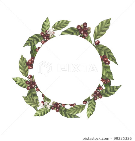 Watercolor circle wreath of red coffee arabica beans on branch with berries. Hand-drawn illustration isolated on white background. Perfect food menu, label, banner, flyer, brochure template. 99225326