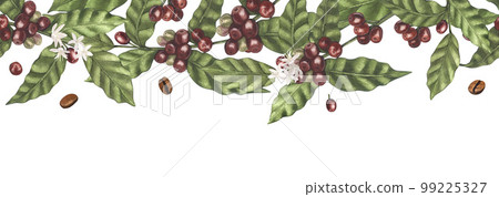 Watercolor seamless frame round of red coffee arabica beans on branch with berries. Hand-drawn illustration isolated on white background. Perfect food menu, label, banner, flyer, brochure template. 99225327