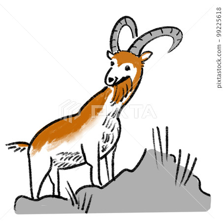 Hand drawn illustration of ibex Hand drawn illustration of ibex 99225618