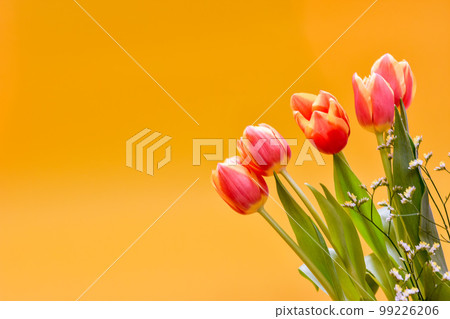 Bouquet of orange tulips flowers on yellow background with copy space. Bouquet of orange tulips flowers on yellow background with copy space. 99226206