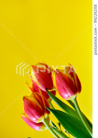 Bouquet of orange tulips flowers on yellow background with copy space. 99226208
