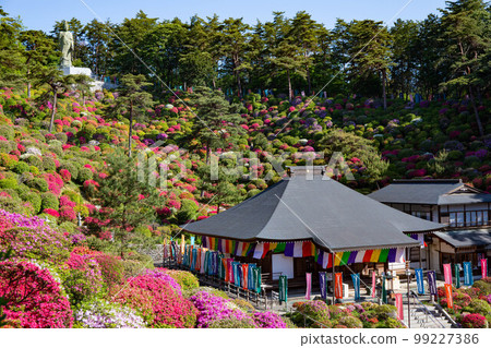 Spring in Ome, Tokyo Shiofune Kannonji Temple, famous for its azaleas, Gomado and Kannon statue Spring in Ome, Tokyo Shiofune Kannonji Temple, famous for its azaleas, Gomado and Kannon statue 99227386