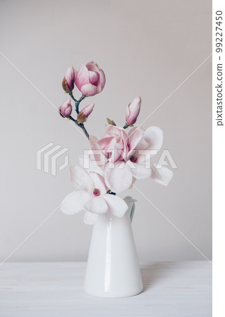 Magnolia in vase. 99227450