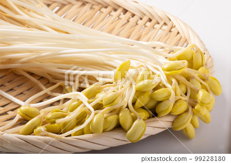 山形縣的豆芽 99228180