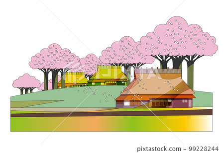 櫻花和老私人住宅的寧靜春山村風光 99228244