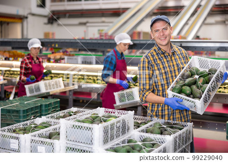 Positive worker carries boxes of avocado fruits at factory Positive worker carries boxes of avocado fruits at factory 99229040