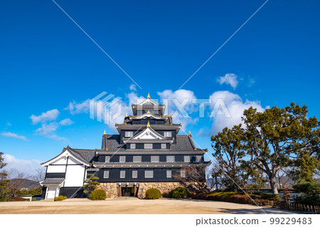 令和大修後的岡山城樓 99229483