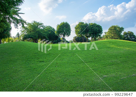 夏季高爾夫球場 沒有人 99229647