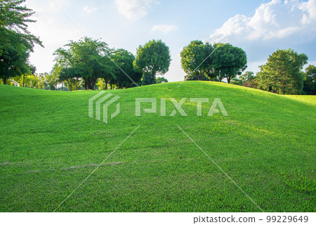 夏季高爾夫球場 沒有人 夏季高爾夫球場 沒有人 99229649