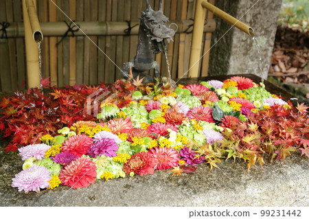 Autumn flower chozuya 99231442