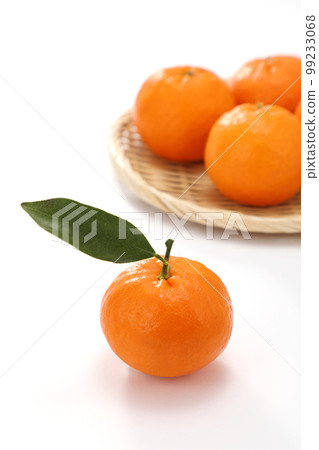 Ponkan 99233068