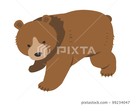 一隻熊 99234047