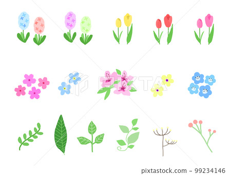 Spring flower illustration set Spring flower illustration set 99234146