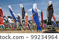Carp streamer 99234964