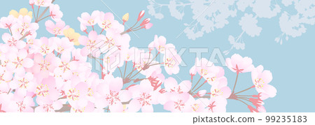 Cherry blossom illustration with a retro feel on a dull blue background 99235183