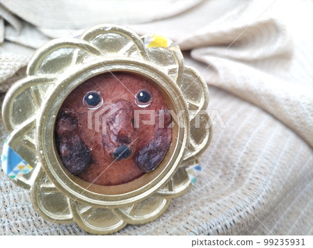 Dachshund in a flower frame 99235931