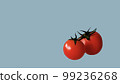 Multiple tomatoes with a light blue background 99236268