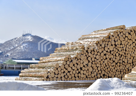 Photographing lumber before loading and scenery of Mt. Hakodate at Hakodate Port Central Wharf in Hakodate City, Hokkaido 99236407