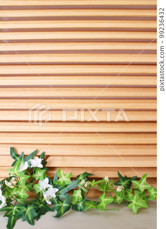 舒緩的綠色內飾和木質百葉窗 99236432