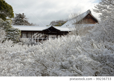 Tofukuji Temple in winter, snowfall on Tsutenkyo Bridge, Higashiyama Ward, Kyoto City 99236733