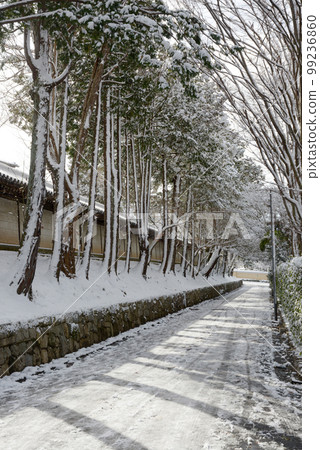 東福寺在冬天,路上有雪,京都市東山區 東福寺在冬天,路上有雪,京都市東山區 99236860