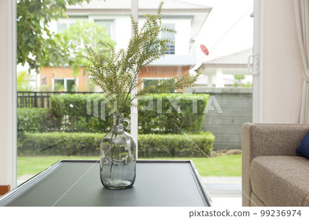 green leaves in glass vase on table in living room of modern home. green leaves in glass vase on table in living room of modern home. 99236974