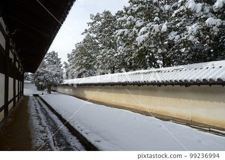 Tofuku-ji Temple in winter, earthen wall behind Toshi, Higashiyama Ward, Kyoto City 99236994
