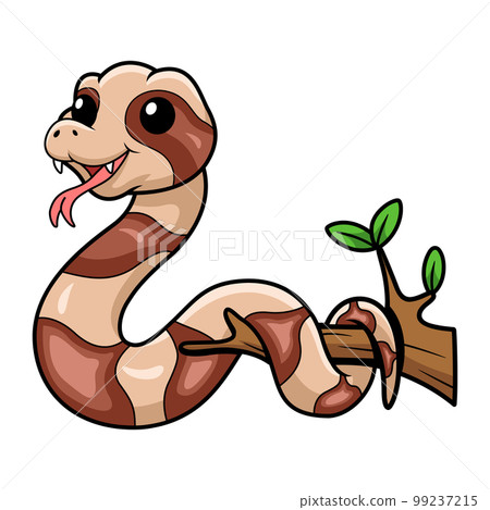 Cute copperhead snake cartoon on tree branch Cute copperhead snake cartoon on tree branch 99237215