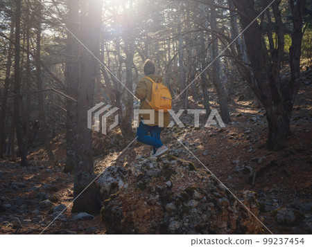 caucasian woman enjoys being in nature, caucasian woman enjoys being in nature, 99237454