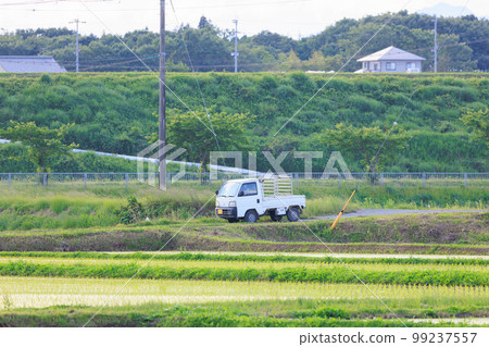 Rural scenery in early summer "Rural image" Rural scenery in early summer "Rural image" 99237557