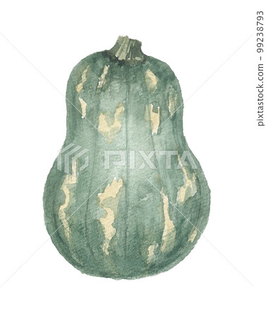 島南瓜 Chinkuwa 島南瓜 Chinkuwa 99238793