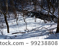 mountain stream in winter 99238808