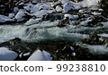 mountain stream in winter 99238810