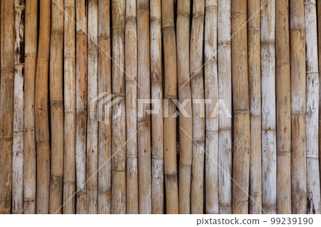 close up of bamboo texture close up of bamboo texture 99239190