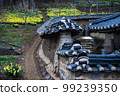 organic room daffodils 99239350