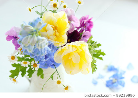 tulip and delphinium tulip and delphinium 99239990