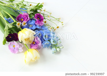 Bouquet of tulips and delphiniums Bouquet of tulips and delphiniums 99239997