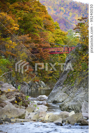 "Futami Suspension Bridge" and autumn leaves in Jozankei, Hokkaido 99240030