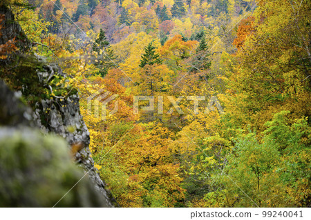 北海道定山溪的紅葉“合羽淵公園” 99240041